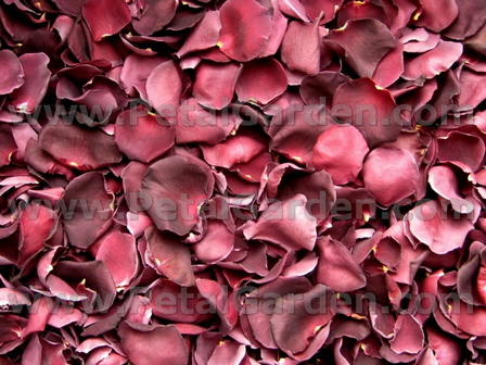 freeze dried rose petals