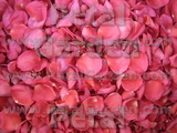 Hot Pink Freeze Dried Rose Petals