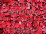 Red Freeze Dried Rose Petals