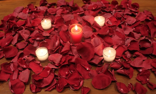 romance freeze dried rose petals