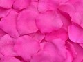 s-hotpink.jpg