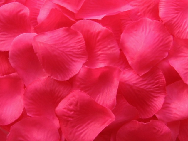 hot pink rose petals. Hot Pink. 400 petals for $4.99