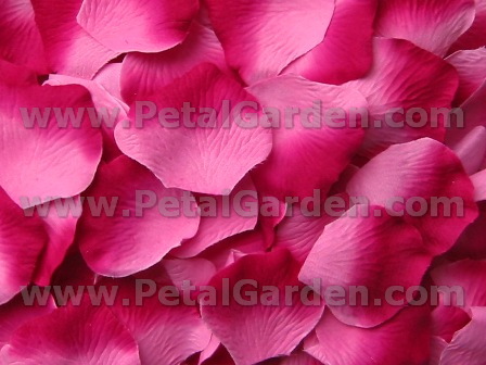 Berry silk rose petals