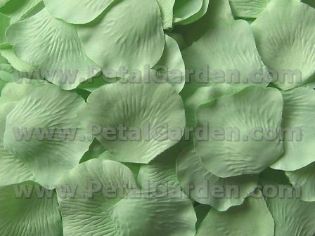 Celadon silk rose petals