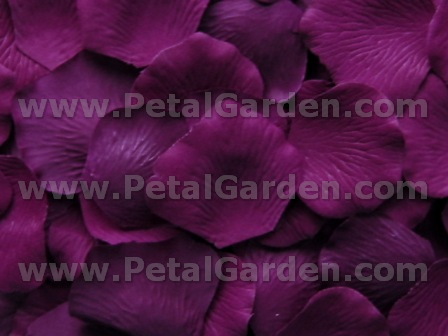 Concord silk rose petals
