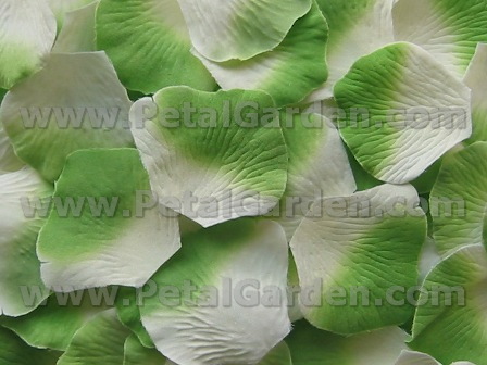 Ivory w/ Green silk rose petals