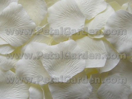 Ivory silk rose petals