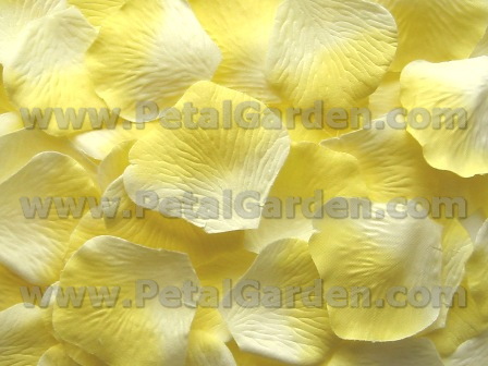 Ivory w/ Yellow silk rose petals