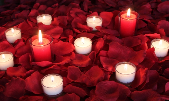 romance silk rose petals