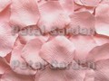Blush Silk Rose Petals