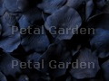 Navy Blue Freeze Dried Petals