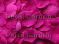 Raspberry Silk Rose Petals