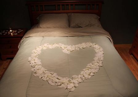 rose petals on a bed