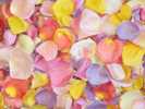 Blossom Blend Freeze Dried Petals