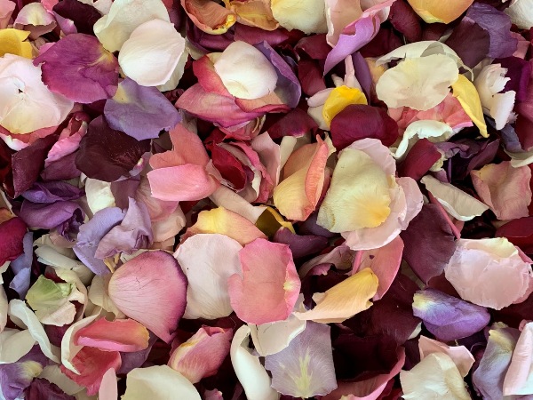 freeze dried rose petals