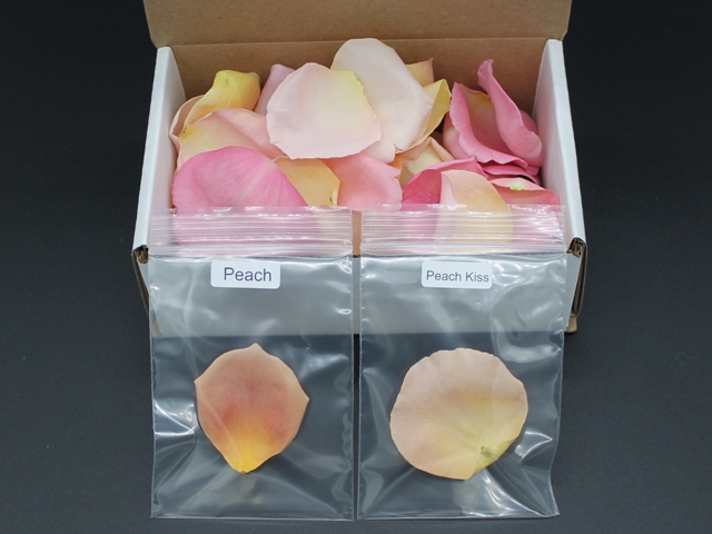 Silk Rose Petals Sample, 12 petal pack – Petal Garden, Inc.