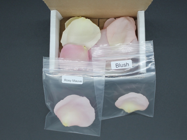 Petal Garden - Freeze Dried Petals - Blush