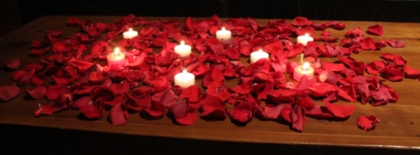 Romantic red rose petals
