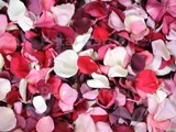 Romance Freeze Dried Rose Petals