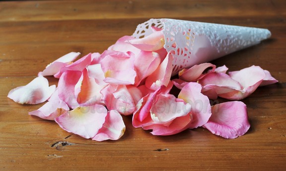 pink freeze dried rose petals