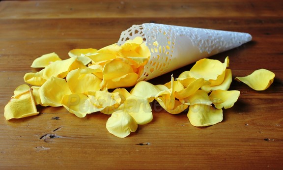 yellow freeze dried rose petals