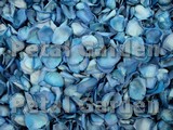 Blue Freeze Dried Rose Petals