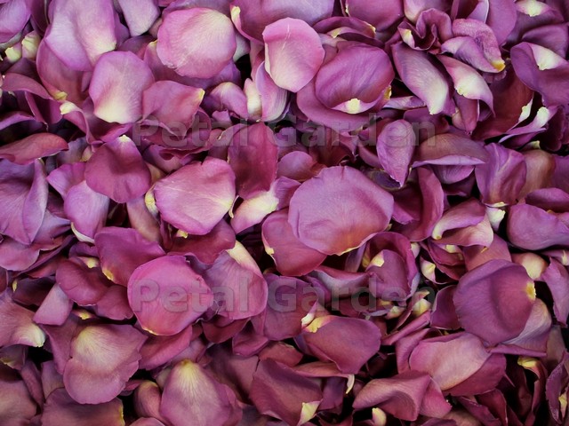 Gemstone freeze dried rose petals