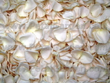 Ivory Freeze Dried Rose Petals