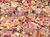 Peach Freeze Dried Petals