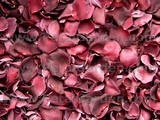 Plum Freeze Dried Rose Petals