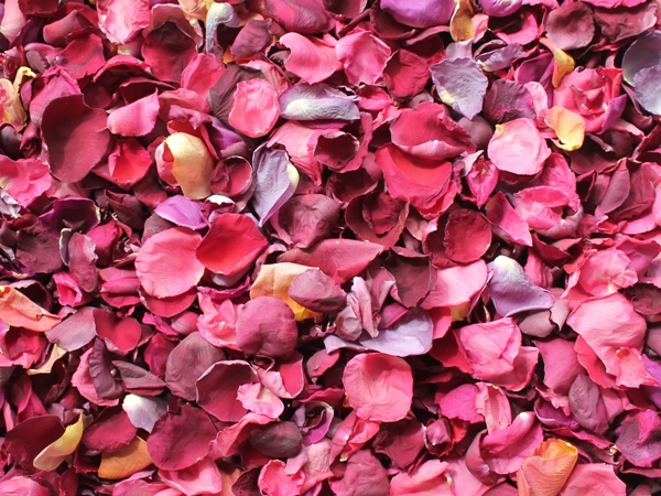 Rose Petals, Real Freeze Dried Pink and Orange Petals for Pathways, 70 cups