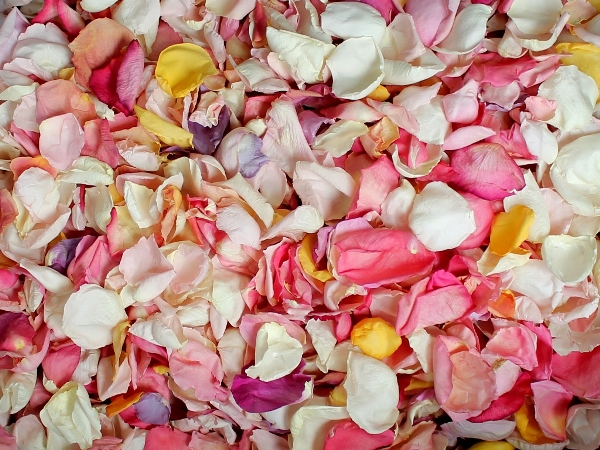 Rose Petals, Real Freeze Dried Pink and Orange Petals for Pathways, 70 cups