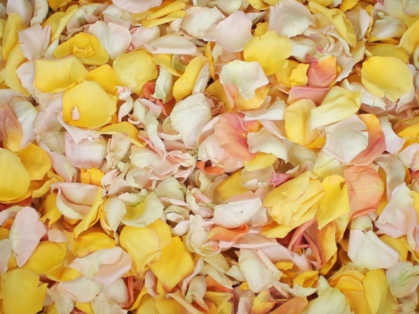 freeze dried rose petals