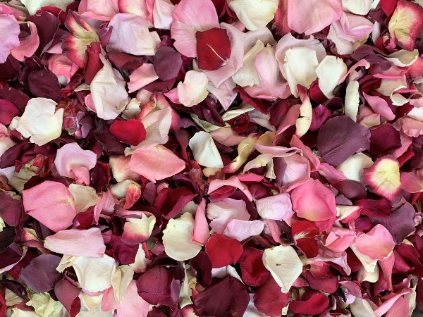 freeze dried rose petals