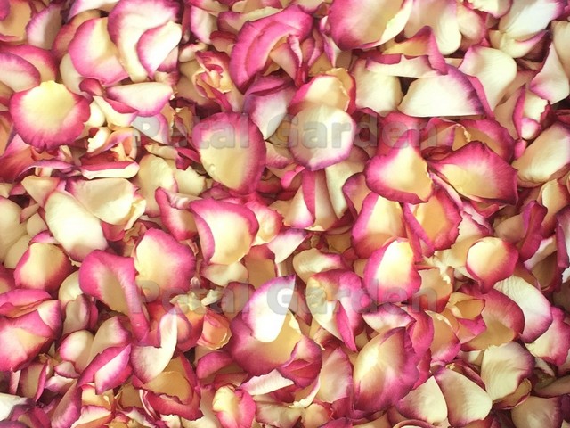 freeze dried rose petals