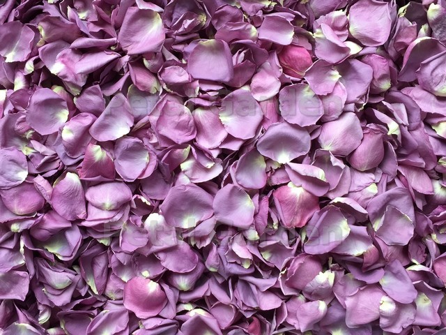 freeze dried rose petals