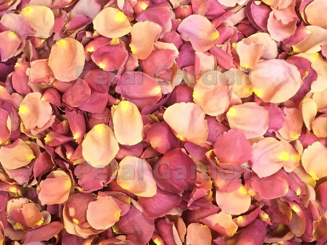 freeze dried rose petals