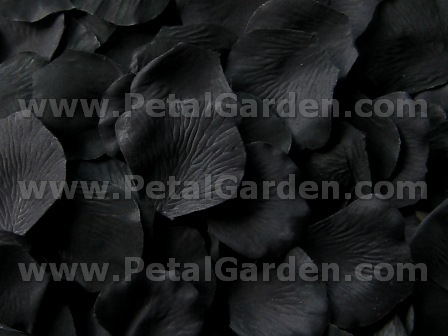 1000 Pcs Black Rose Petals Silk Rose Petals Black Flower Petals for Wedding  Birthday Party Decoration Aisle Decor Confetti HB-LX-011 