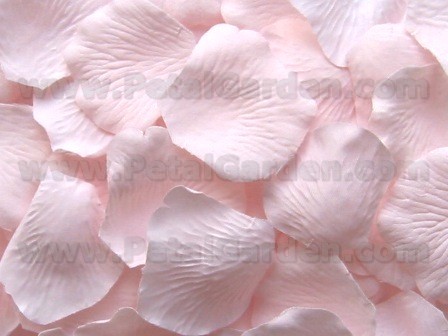 Carnation silk rose petals
