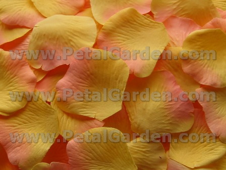 Citrus silk rose petals