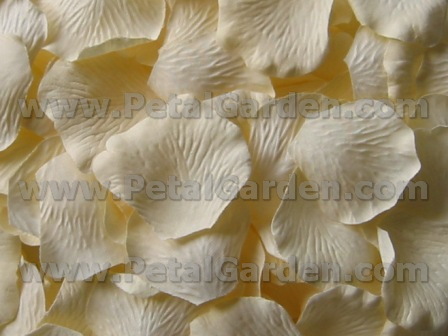 Cream silk rose petals