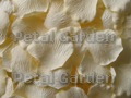 Cream Silk Rose Petals