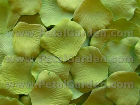 Green Apple silk rose petals