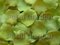 Green Apple Silk Rose Petals