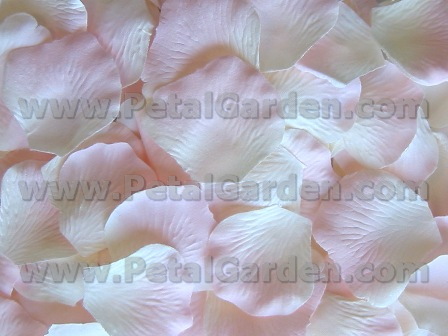 Ivory w/ Pink silk rose petals