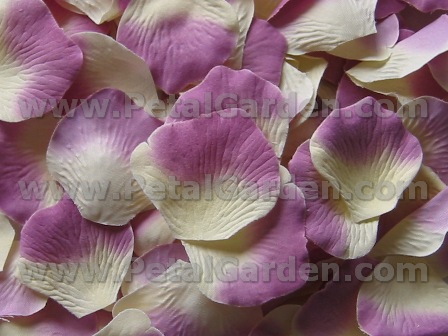 Ivory w/ Purple silk rose petals