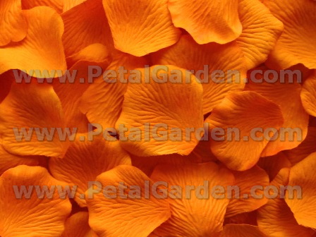 Orange silk rose petals