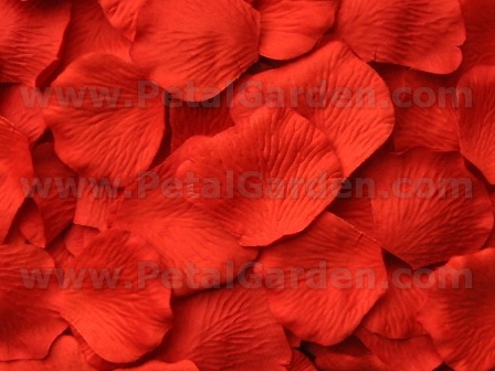 Tabasco silk rose petals