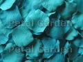 Teal Silk Rose Petals