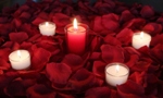 1000 Silk Rose Petals